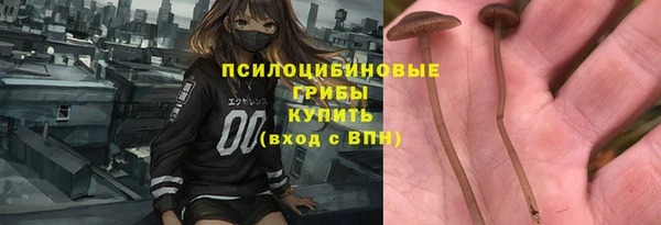 a pvp Баксан